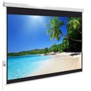 PROJECTOR SCREEN APOLLO 96X96 INC ELECTRIC